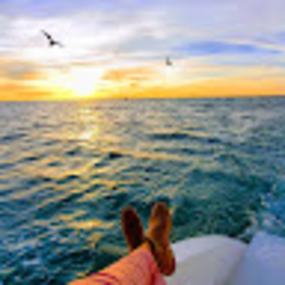 Meet your Posher, Monni